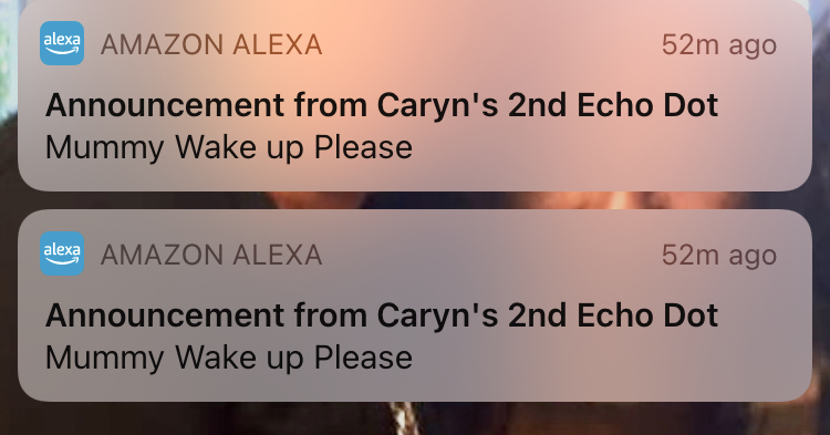 Amazon shop echo announcement