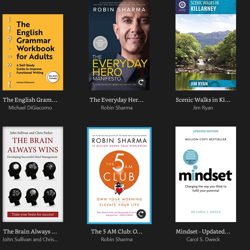 Windows 11 books wont download