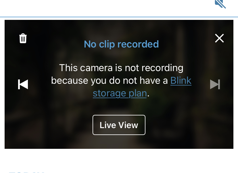 Blink Camera Not Recording  