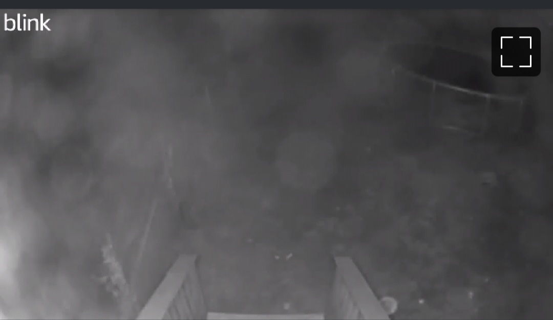 Blink Outdoor Camera Blurry Shop head.hesge.ch