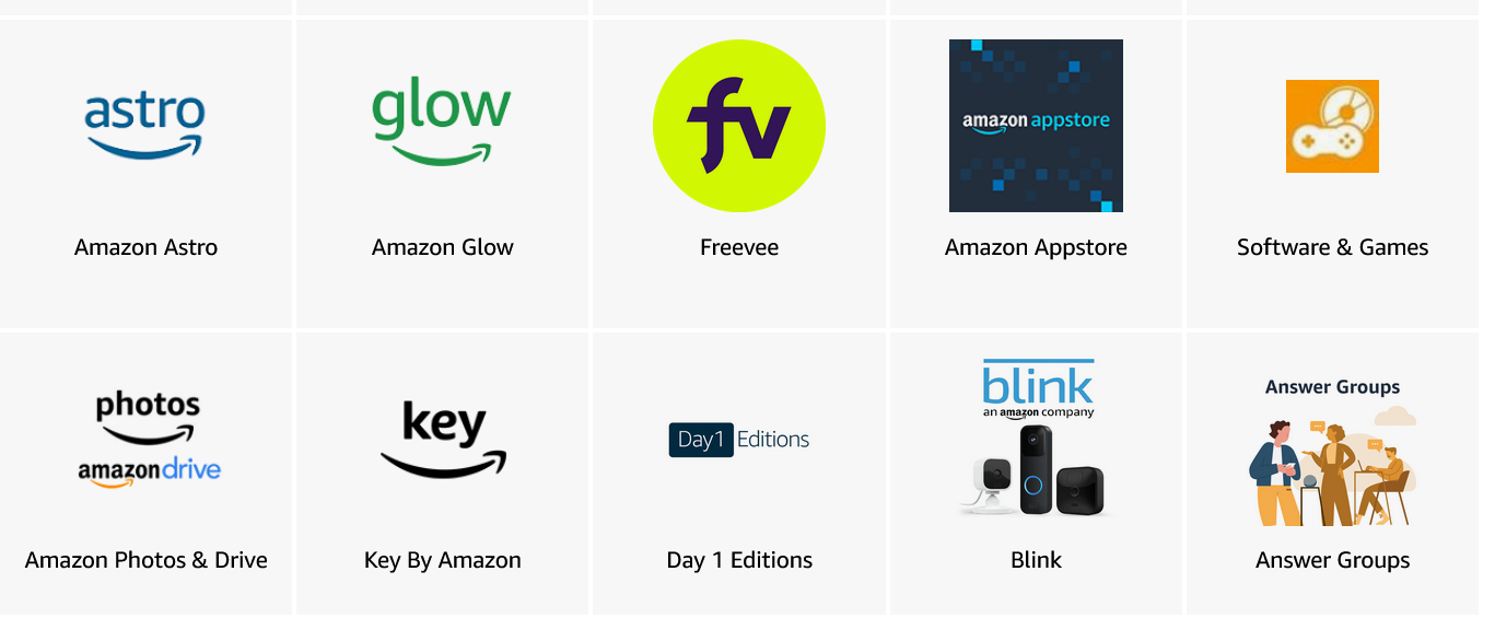 Blink amazon app sales