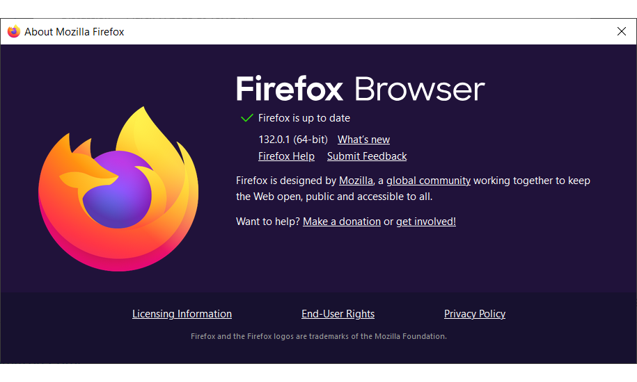 Mozilla Firefox Update Required. Error